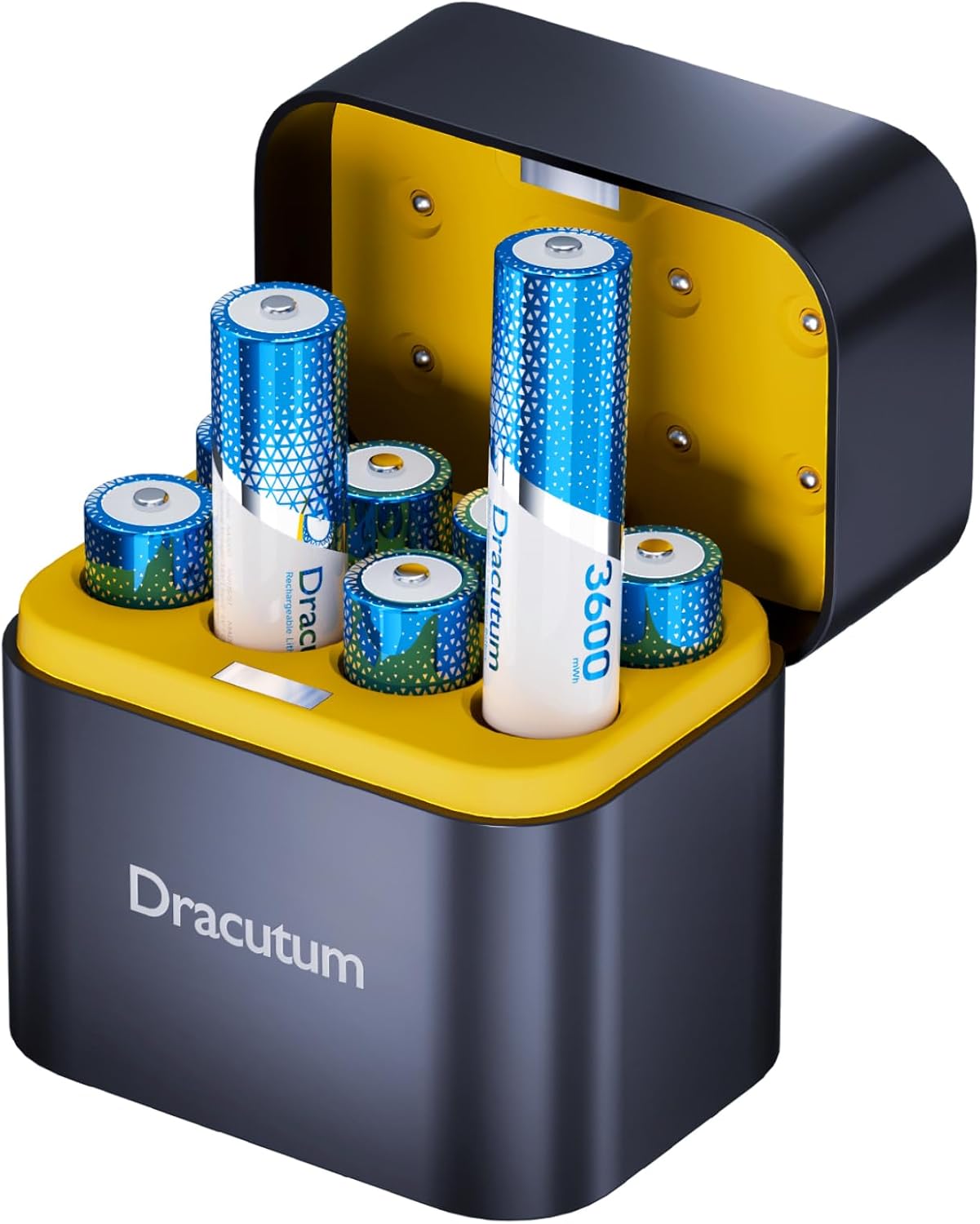 Long-Lasting High Capacity AA Batteries Set