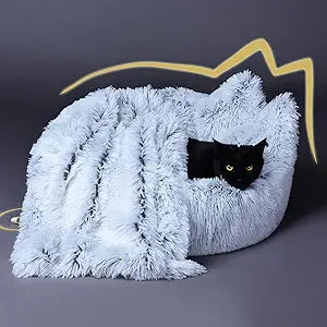 Cozy and Calming Cat Bed with Blanket for Indoor Cats