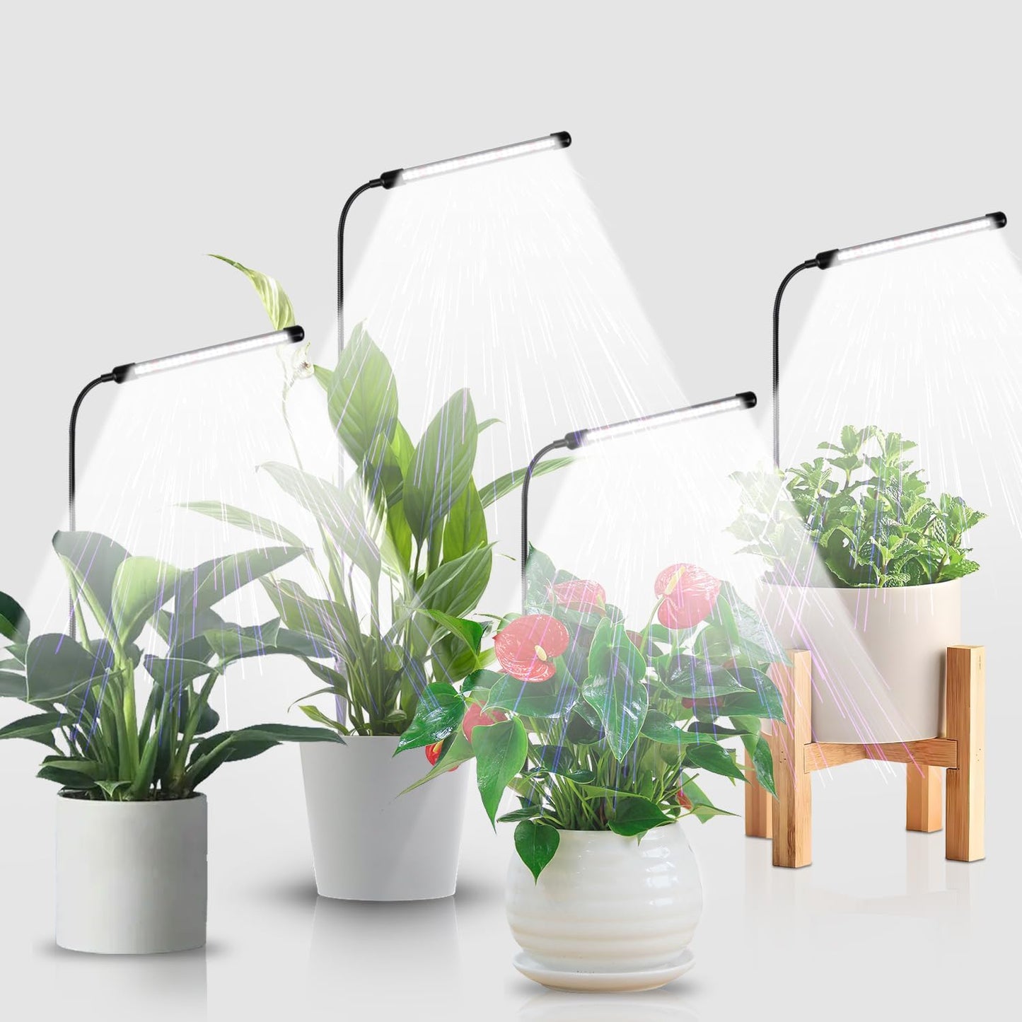 Juhefa Grow Light for Indoor Plants with Auto On/Off Timer