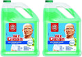 Multipurpose Cleaning Solution with Febreze Meadows and Rain - 2 Pack