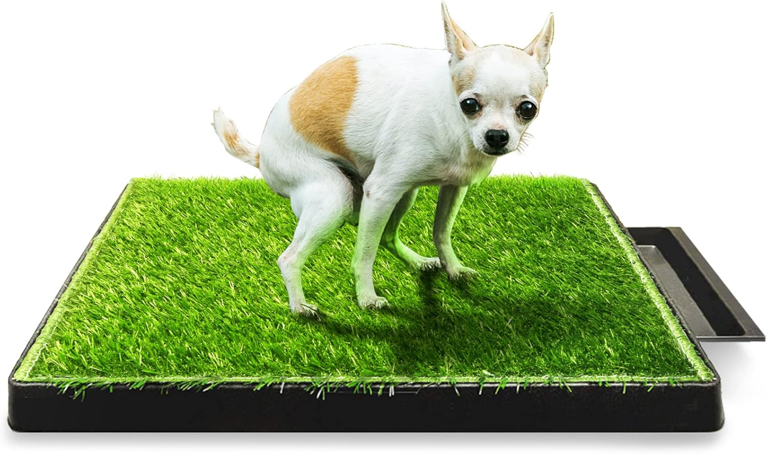 Hompet Dog Toilet Indoor Puppy Training Pad for Easy Cleanup