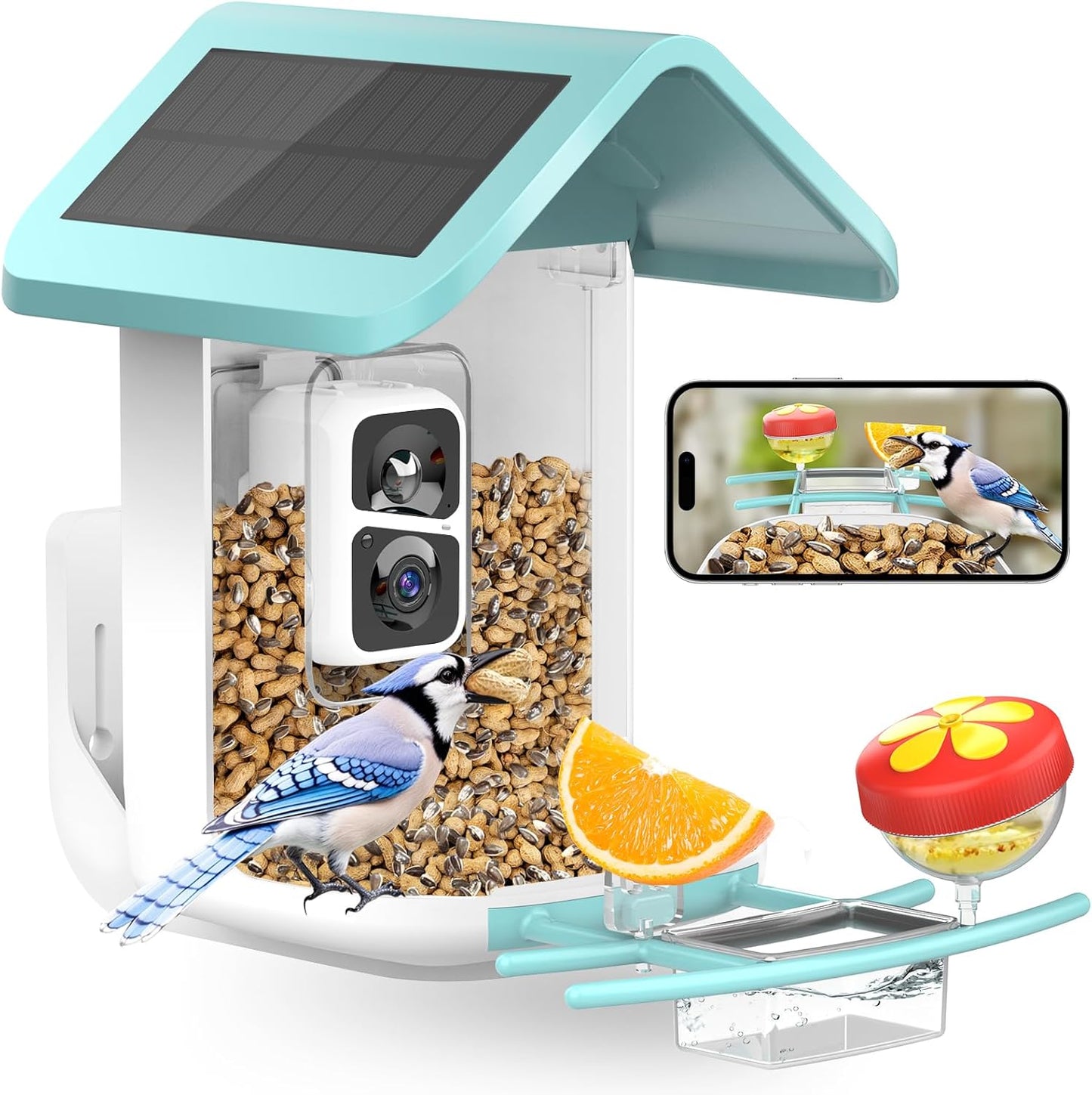 VIUBIRD: Solar Powered Smart Bird Feeder with AI Capture