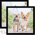 24x24 Picture Frame Set of 2 Black Square Frames - Clean Wall Gallery