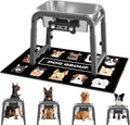 1.2 Gallon Elevated Dog Water Bowl Height Adjustable - Raised
