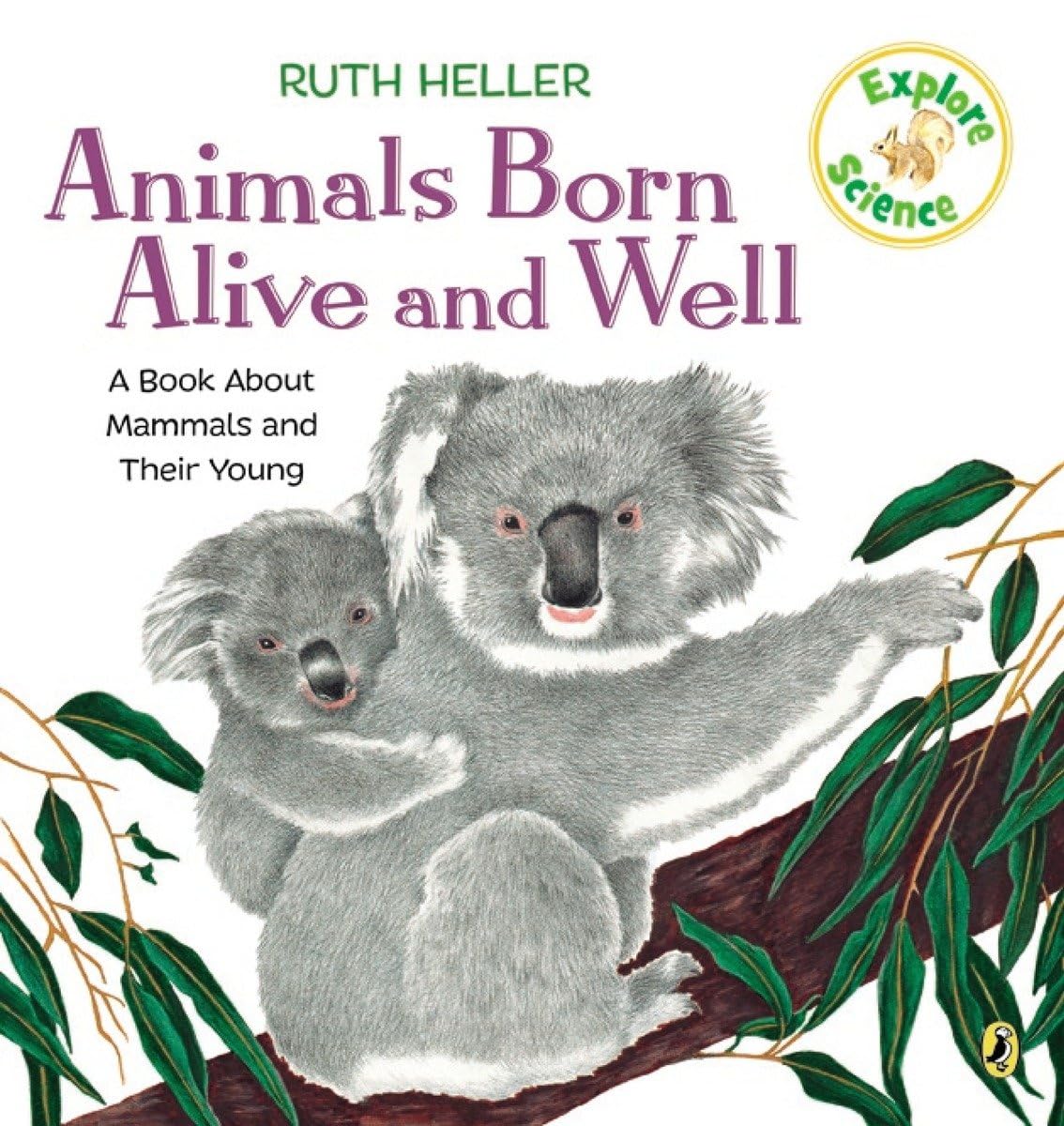 Discover Mammals: Animals Born Alive Book!