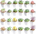 Tiita 24 Set Artificial Faux Succulents for Home Office Decor