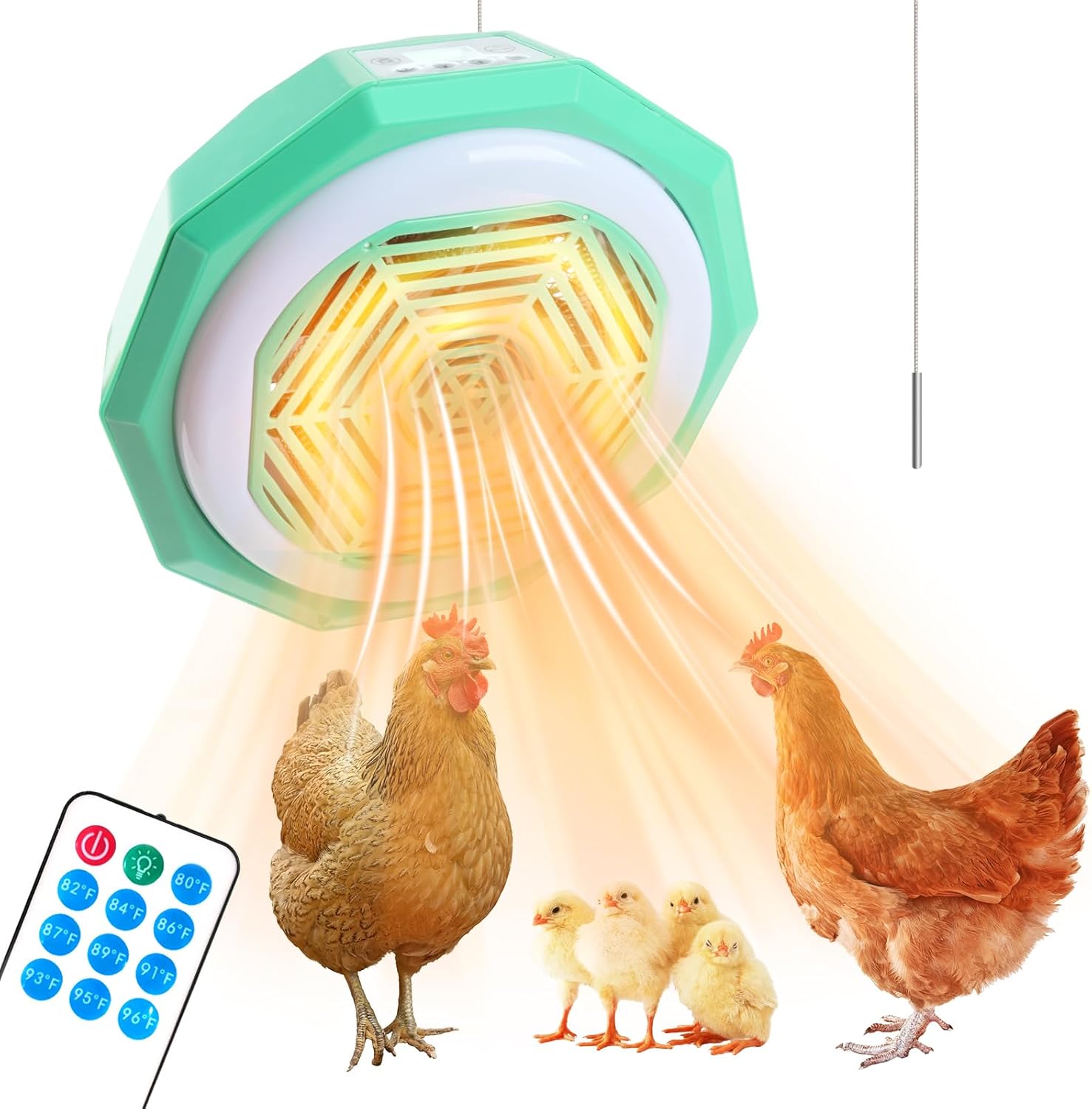 Warm Your Coop in Style with GIFANK