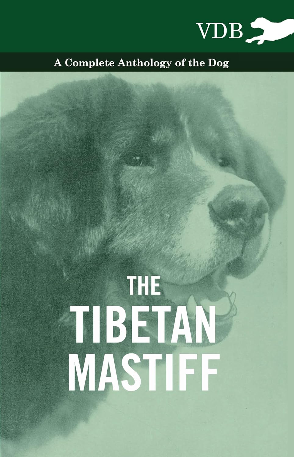 The Tibetan Mastiff - A Complete Anthology of the Dog Review