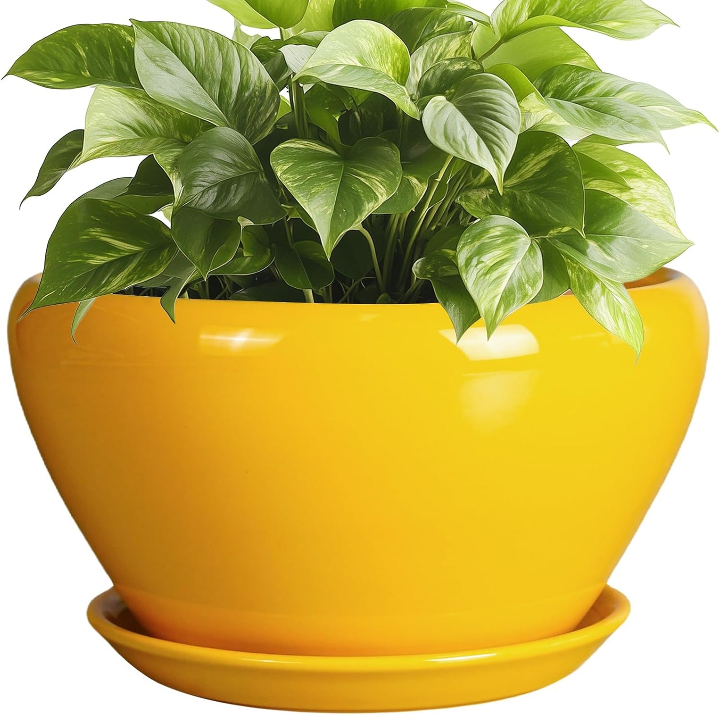 Ceramic Planter 9 Inch - Modern Indoor Pot with Drainage Hole