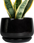 Ceramic Planter 7 Inch Round Pot with Drainage - Modern Black