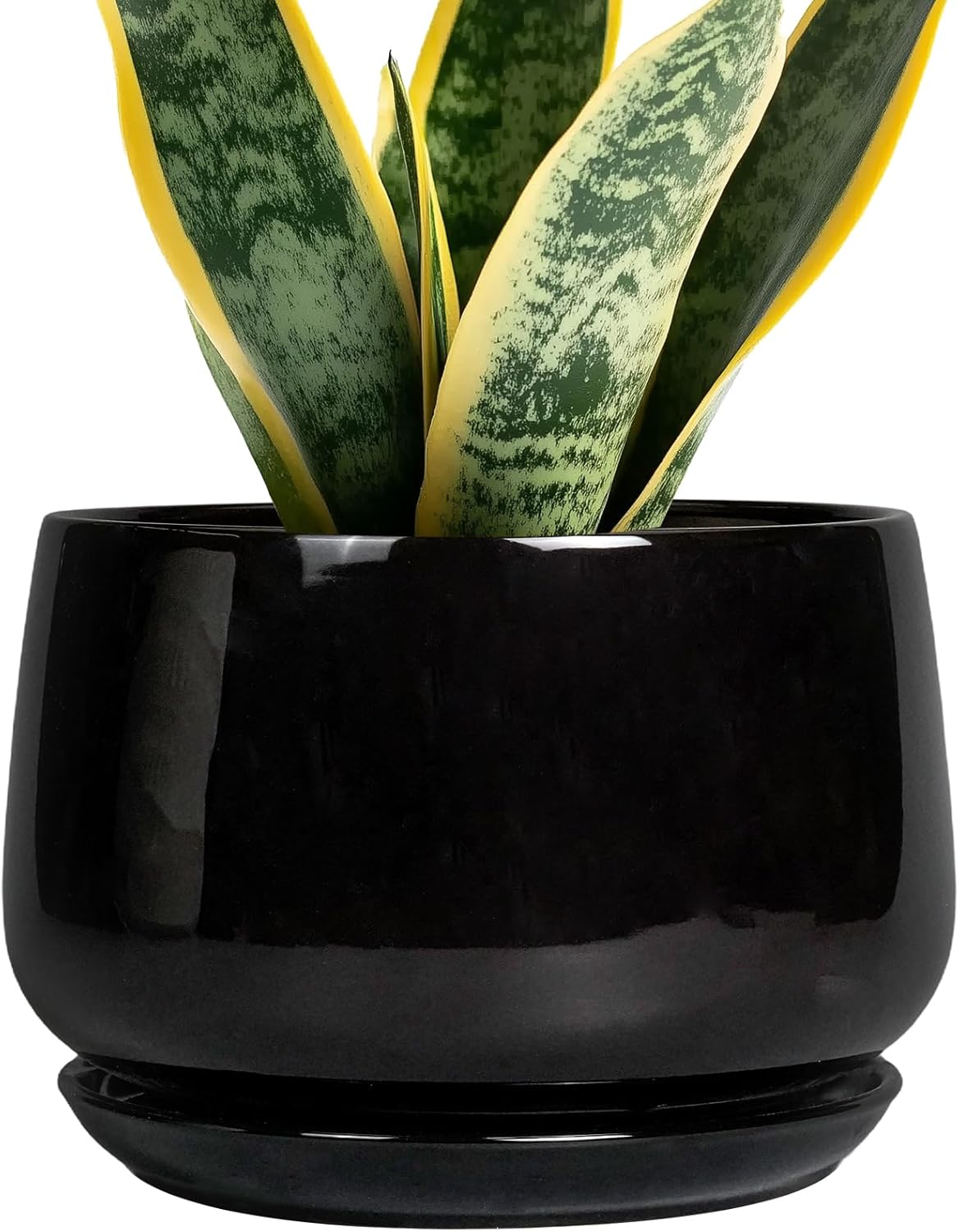 G EPGardening 7 Inch Ceramic Planter with Drainage for Plants