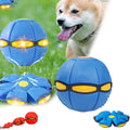 Ancient Flow Doggy Disc Ball - Interactive Fun for Dogs