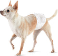 Absorbent Leakproof Male Dog Wrap X-Small - 30 Pack