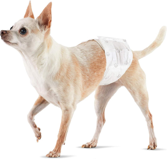 Basics X-Small Dog Diapers 30 Pack - Leakproof & Absorbent