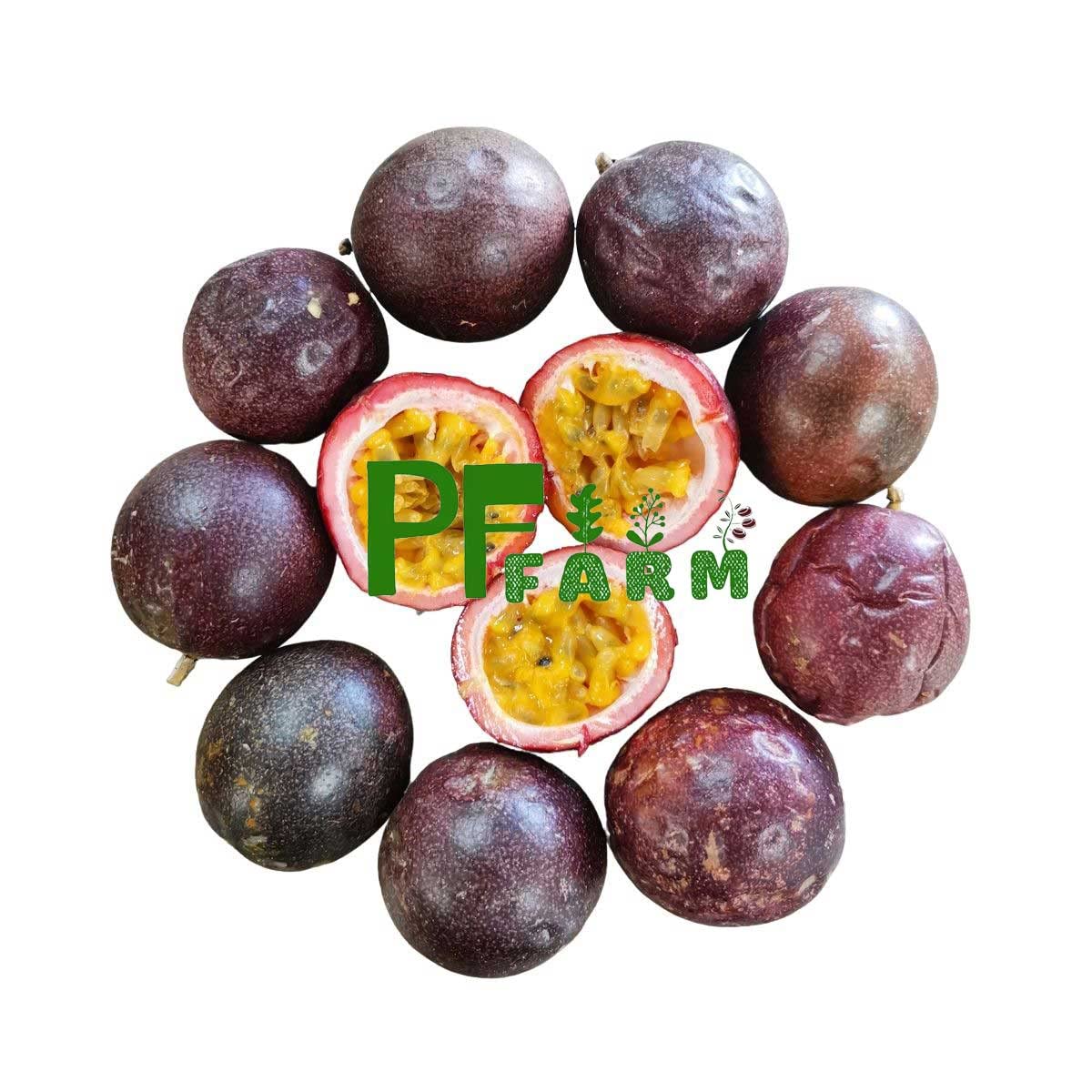 Fresh Ripe Passion Fruit from PF FARM - 24 Count Mix Size