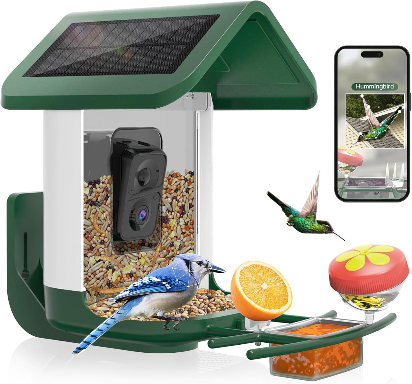 Smart Solar Bird Feeder: 2K Camera - AI Capture - WiFi Live Feed