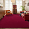 Burgundy Rugs for Living Room 5x7 ft Shag Rug - Soft Thick Memory Foam