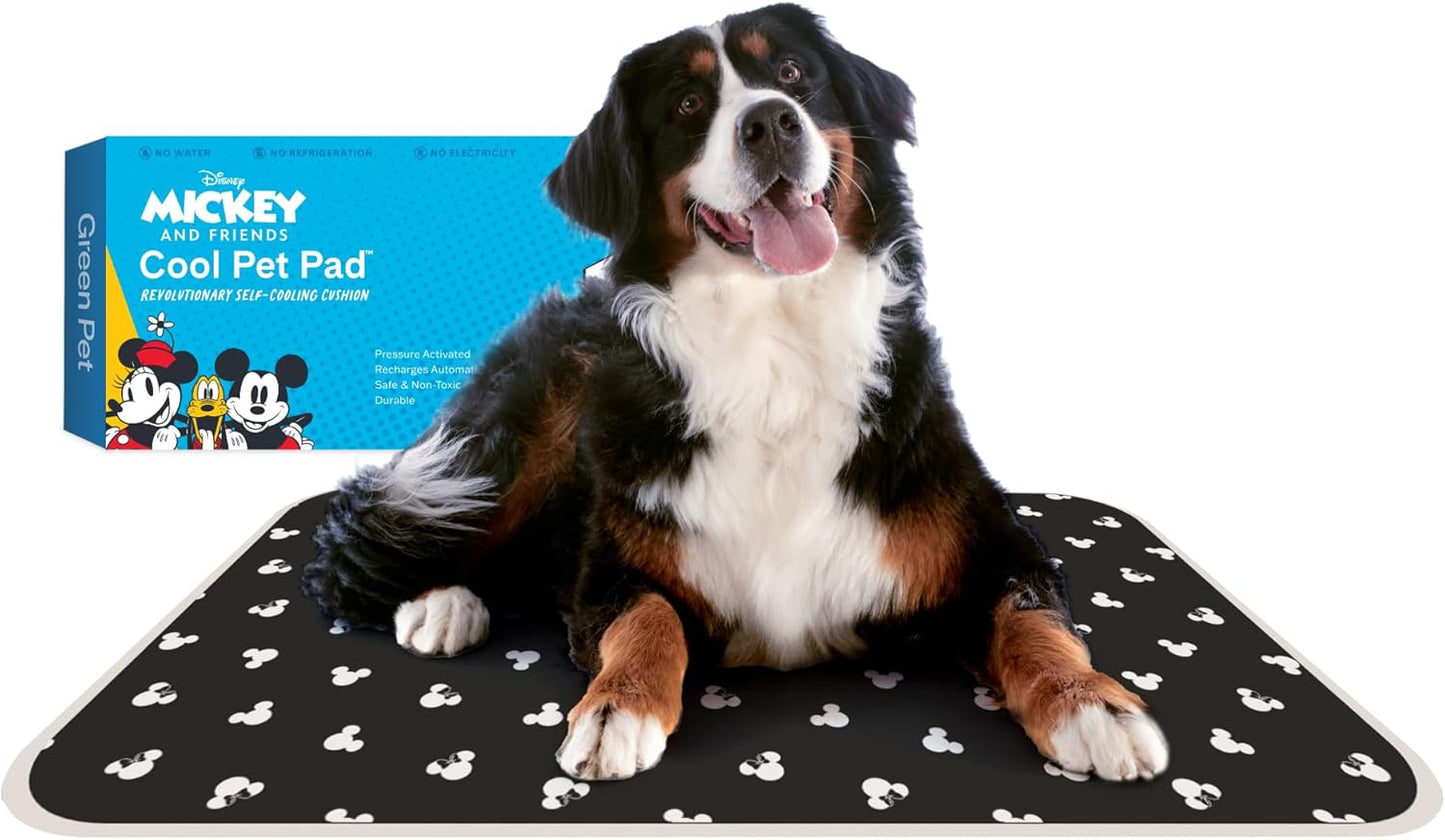 Cool Pet Pad for Dogs & Cats - Mickey & Minnie Mouse Design