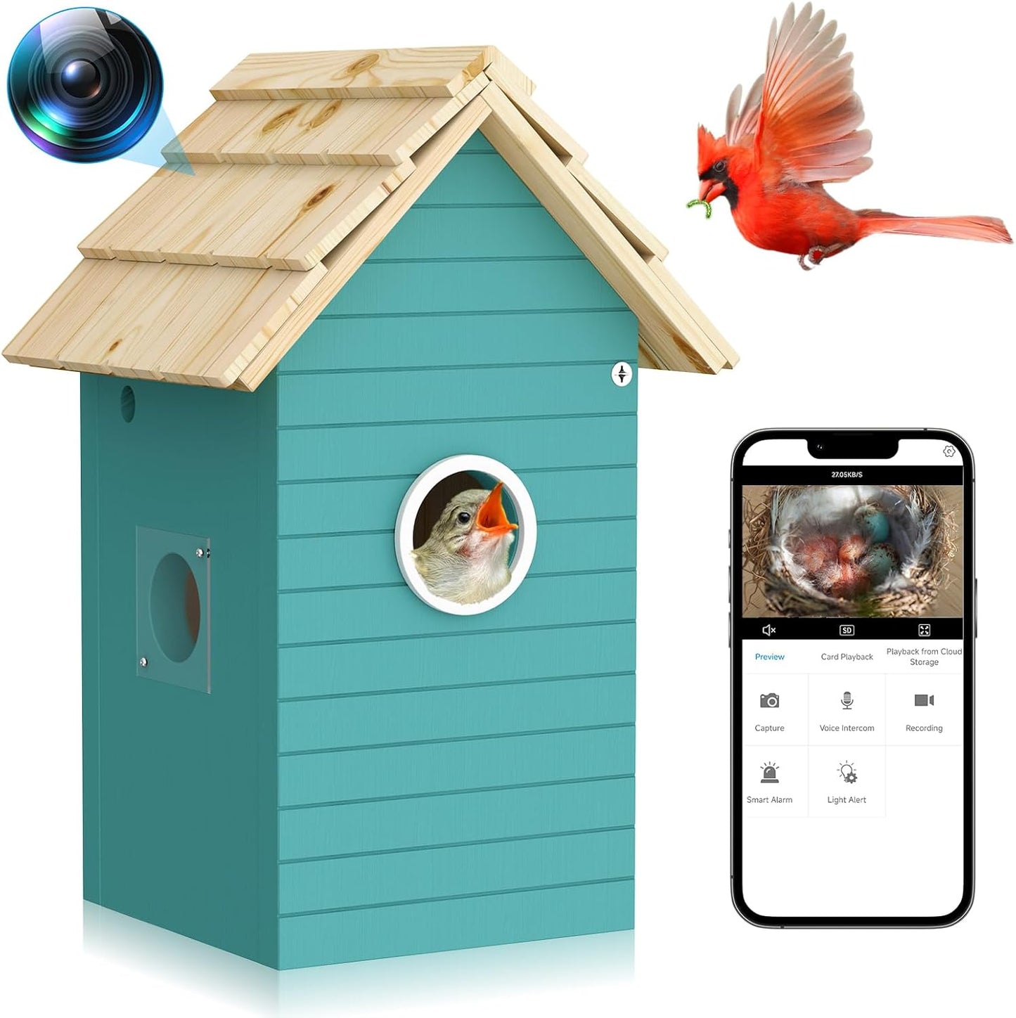 Remote Bird Nest Cam | Live Streaming, HD Video, 24/7 Storage