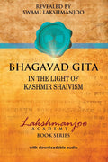 Bhagavad Gita: In the Light of Kashmir Shaivism Review
