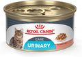 Royal Canin Feline Urinary Care Wet Cat Food for Healthy Cats