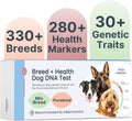 Dog DNA Testing Kit - 330+ Breeds, 280+ Health Risks Reviewed