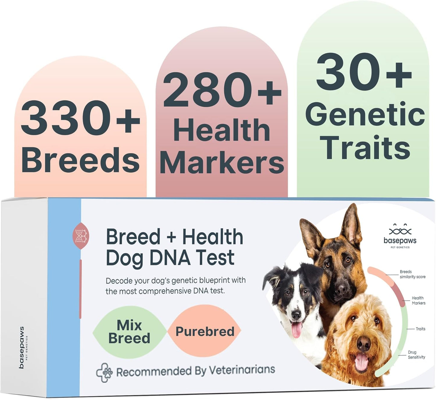Basepaws Dog DNA Testing Kit for 330+ Breeds and Traits