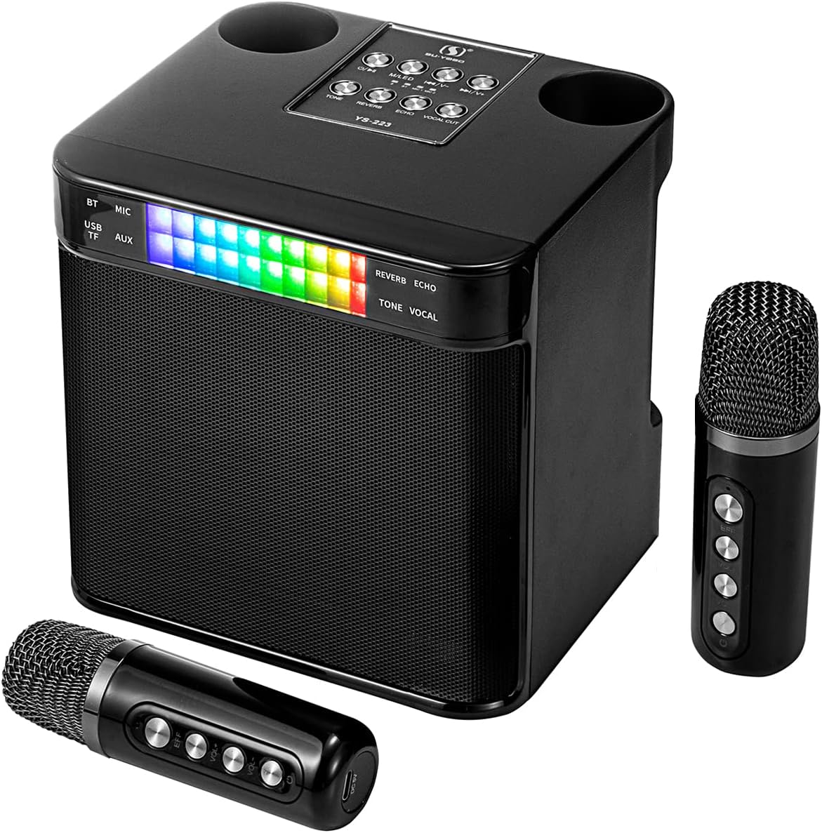 Karaoke Machine with 2 Wireless Microphones and RGB Lights