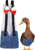 Duck Diaper Chicken Diaper Washable Reusable Poultry Belly Bands