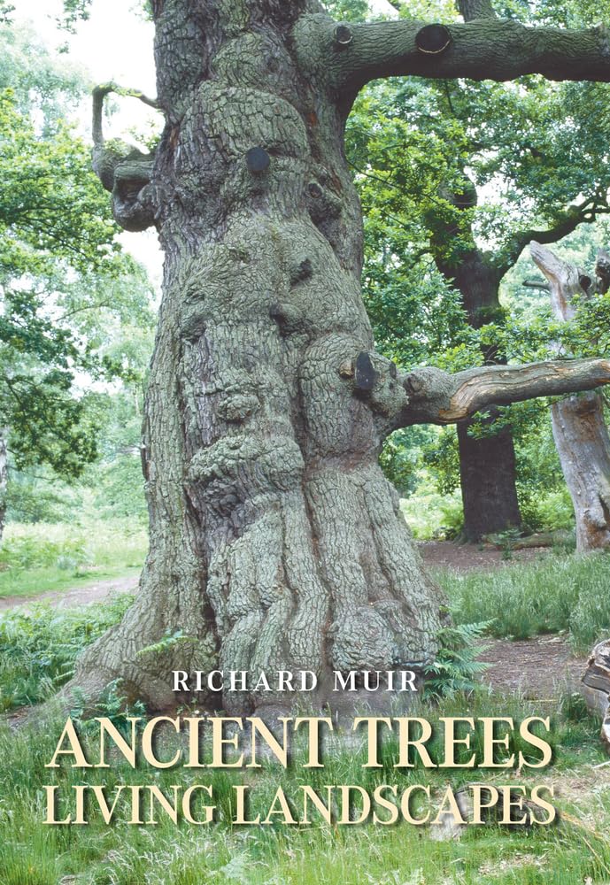Ancient Trees, Living Landscapes: A Journey Through History