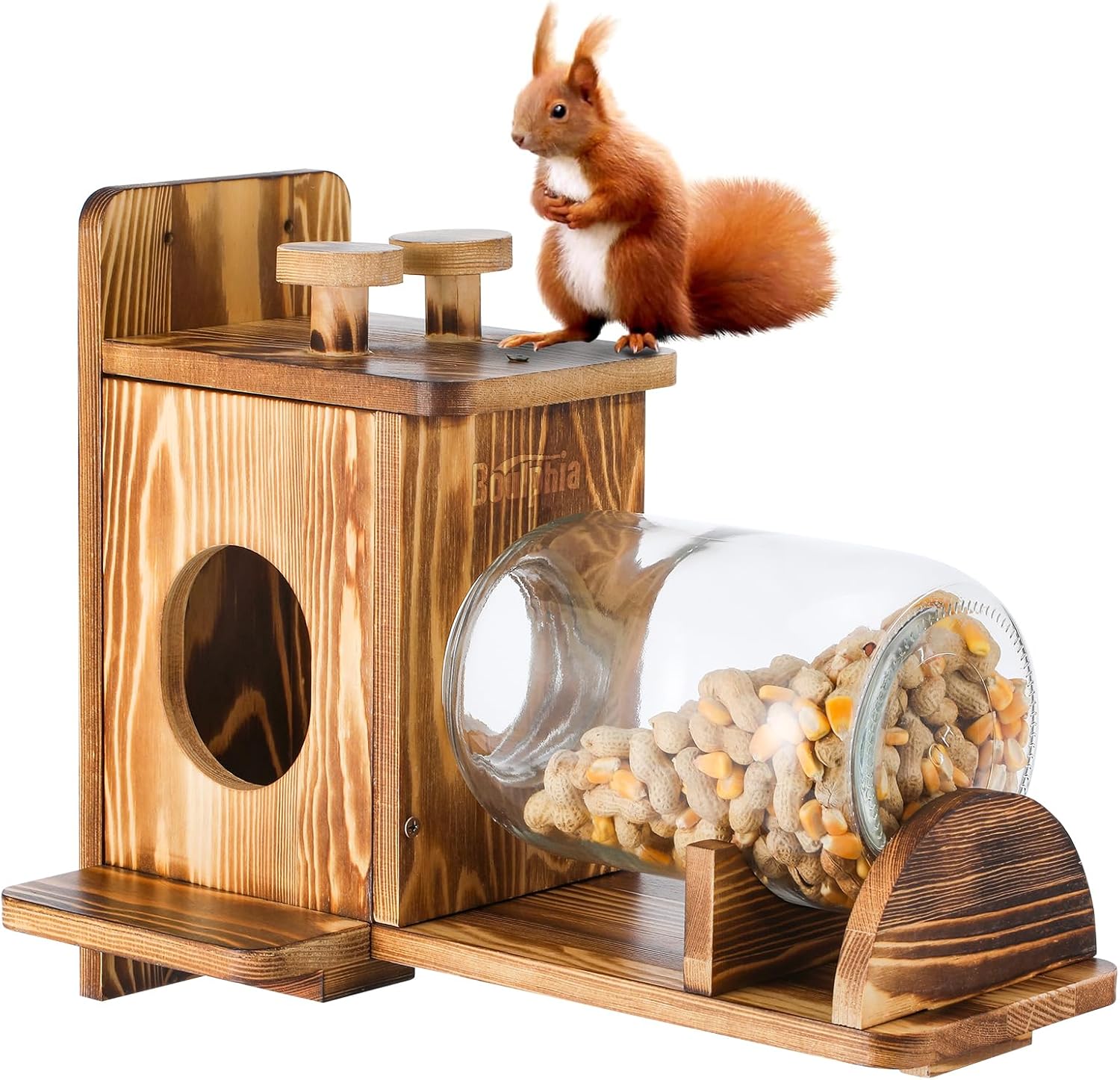 Squirrel Feeder Hanging for Outside with Large Glass Jar