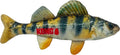 KONG Wild Shield Fish Shaped Dog Toy for Medium Breeds - Durable Water