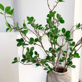 Melorca&Guilla Artificial Plants 6PCS 43.3in Faux Branches - Lush Vase