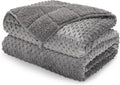 Minky Dot Weighted Blanket Queen 20 lbs - Cozy Sleep Relief