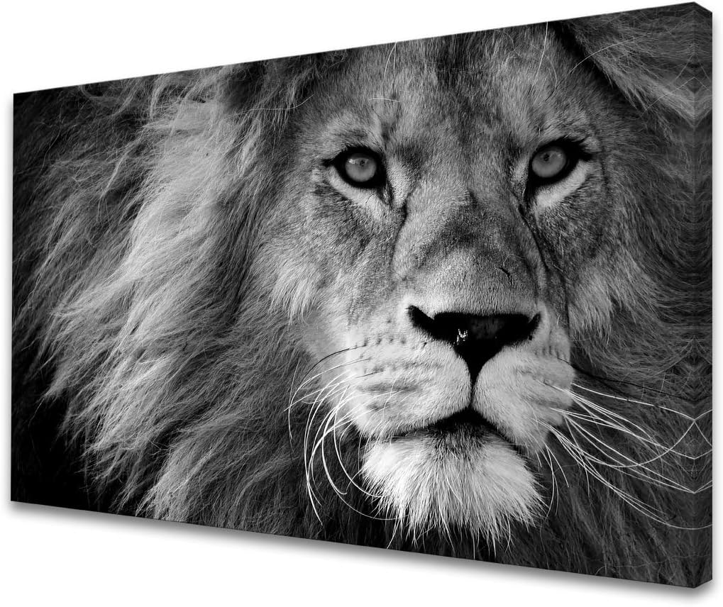 Modern Giclee Canvas Prints Wall Art of Black and White Lion