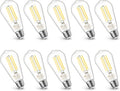 MASTERY MART 100 Watt LED Bulb, Edison Style - Bright Daylight White