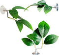 Fish Leaf Pad Betta Tank Plants - Natural Resting Leaves for Bettas