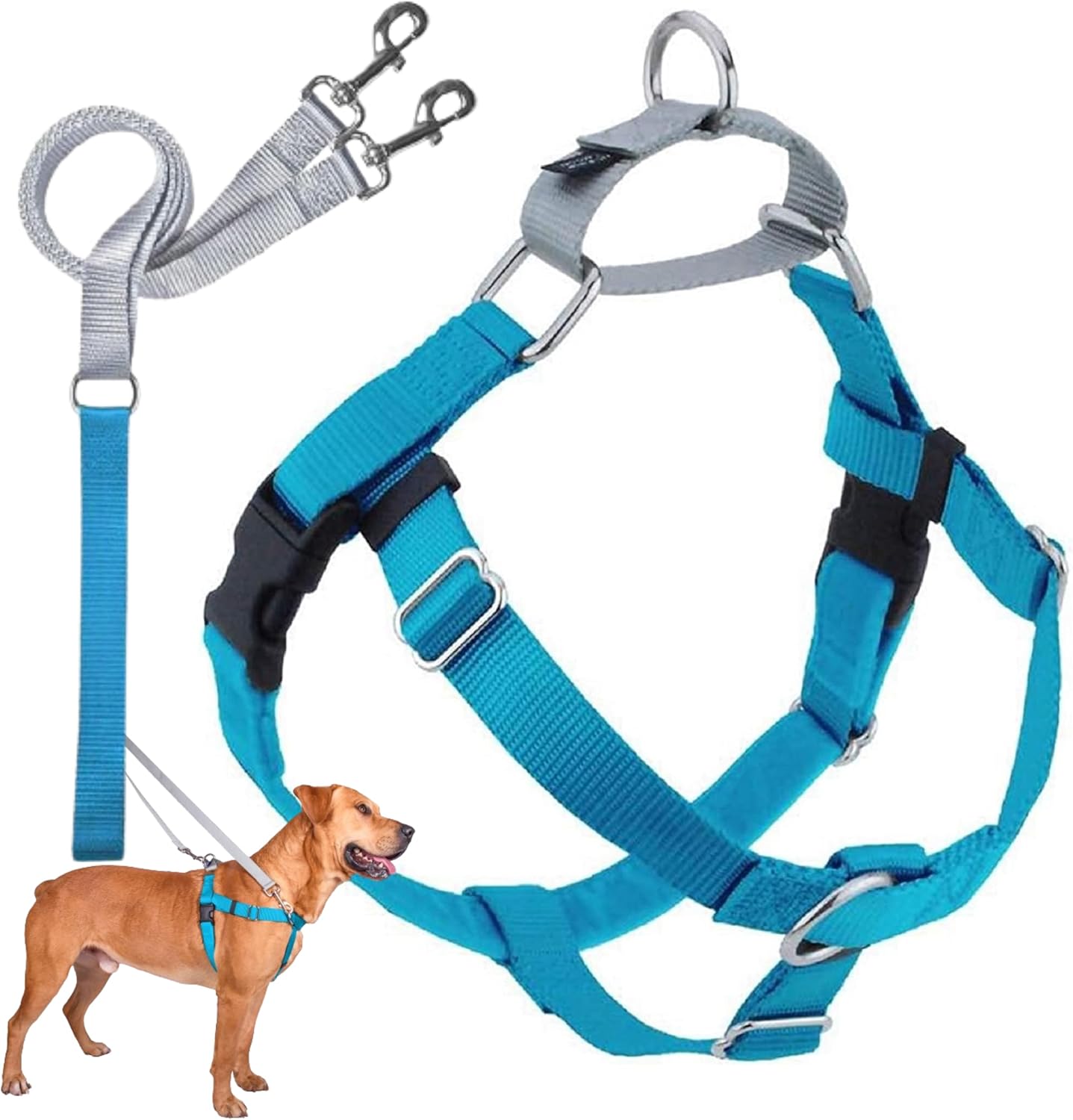 Freedom No Pull Dog Harness for Easy Walking & Control