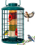 Caged Bird Feeder for Wild Birds Outside - Large Squirrel-Proof Tube