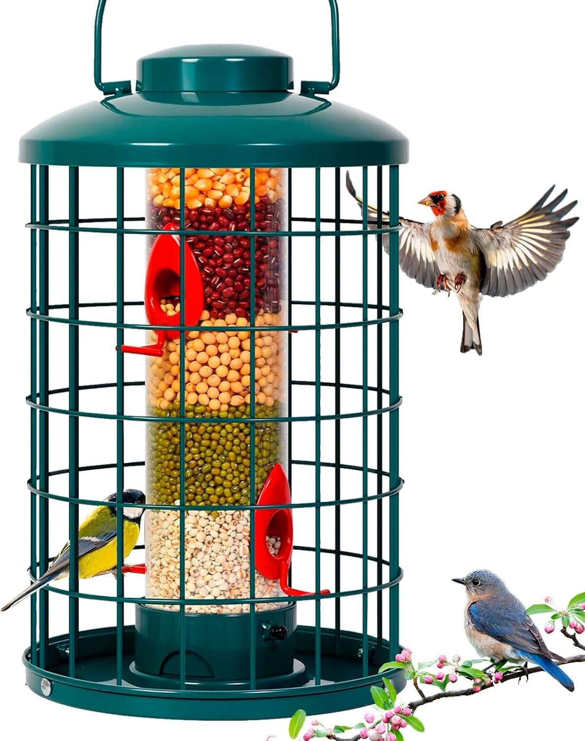 Caged Bird Feeder for Wild Birds Outside - Heavy-Duty Design