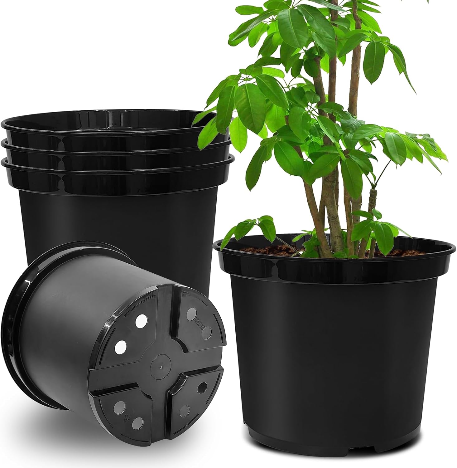5 Gallon 12 Inch Plastic Nursery Pots for Indoor/Outdoor Use