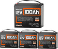 12V 100Ah LiFePO4 Battery Group 24 Size - Portable 1280Wh Power