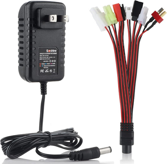 High-Powered RC Car Charger for Multiple Batteries