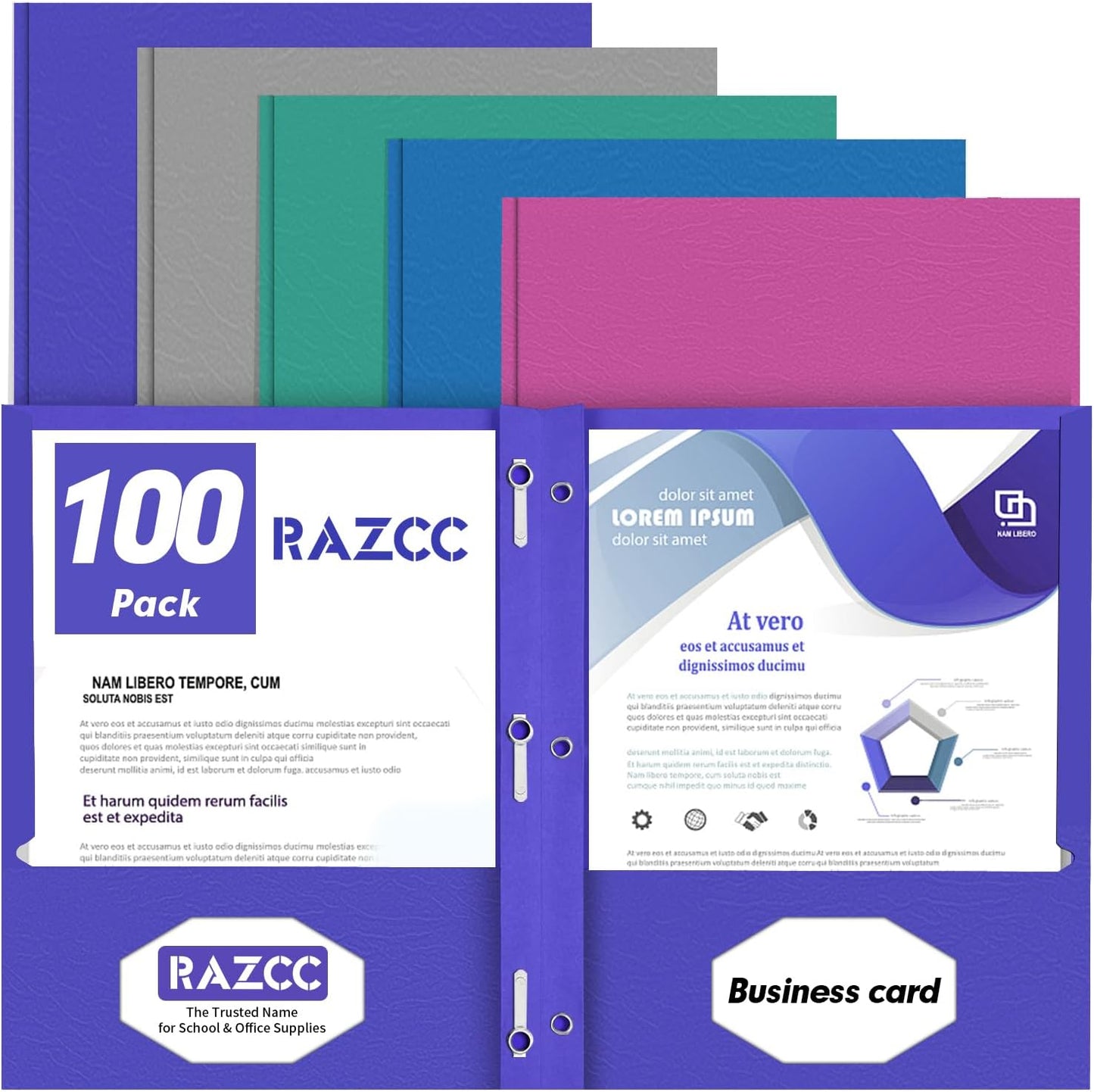 Two Pocket Folders with Prongs for School Office Home Use
