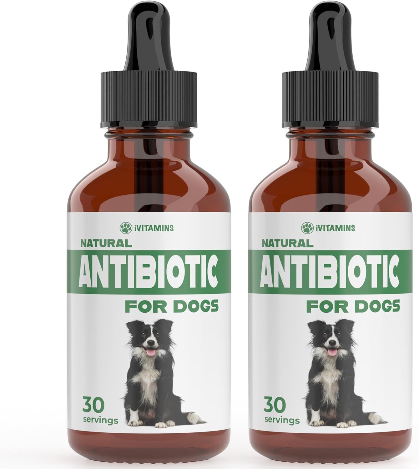 Natural Antibiotics for Dogs - Allergy Relief and Support