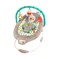 Winnie The Pooh Baby Bouncer Soothing Vibrations Deluxe Infant Seat