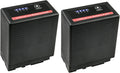 Kastar 2-Pack VW-VBG6 Pro Battery Replacement - High Capacity Power