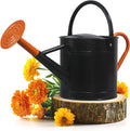 Plexon 1 Gallon Metal Watering Can Outdoor - Durable Galvanized Can