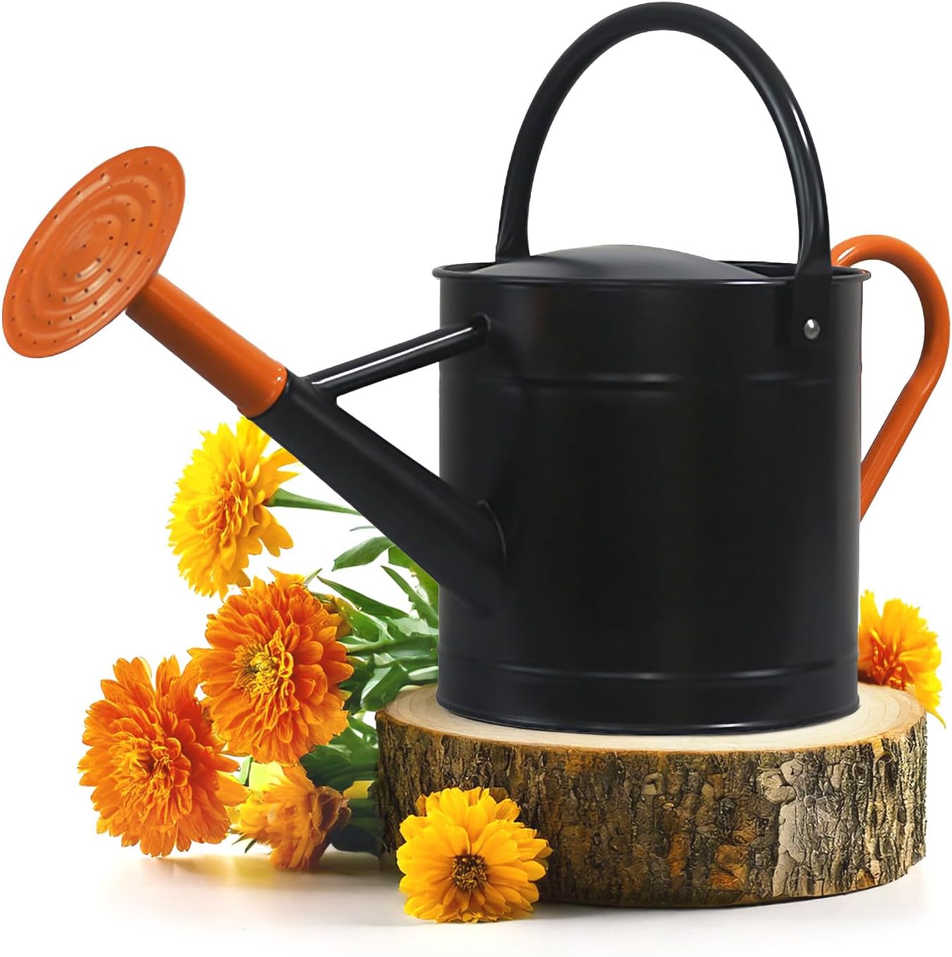 Plexon 1 Gallon Metal Watering Can for Efficient Gardening