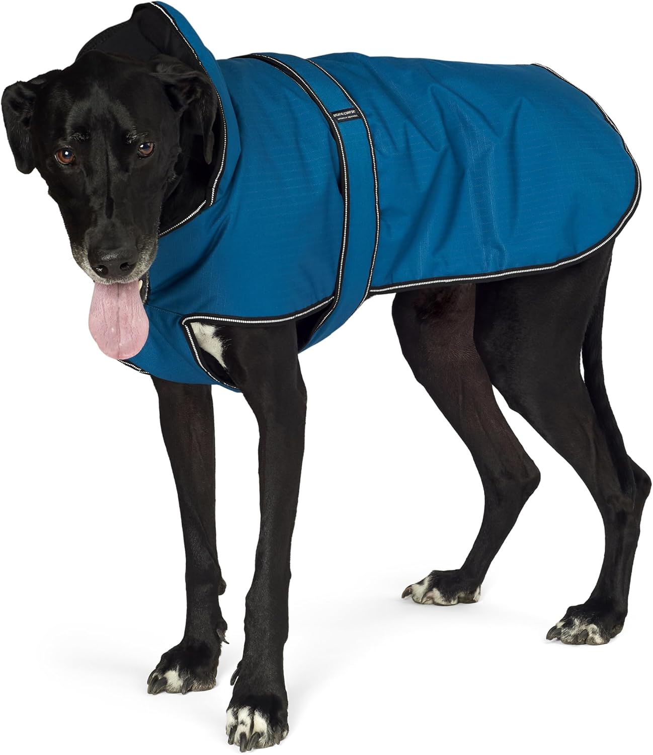 PetRageous Juneau Waterproof Cold Weather Dog Coat Review